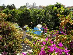 ORAN 2009 JUILLET théâtre de verdure 1